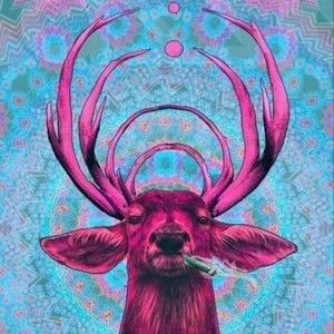 Meet your Posher, Ed